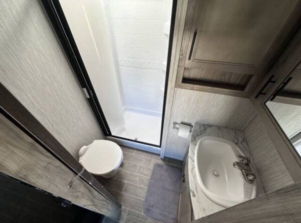 RV 2021 Forest River Arctic Wolf